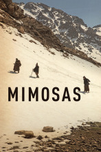 Imagen de Mimosas - 1