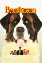 Imagen de Beethoven - 1
