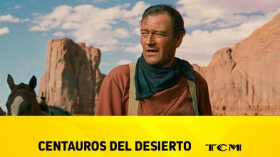 Centauros del desierto