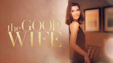 Imagen de The Good Wife (T1) - 2