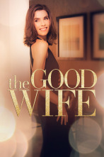 The Good Wife (T3)