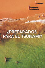 ¿Preparados para el Tsunami?