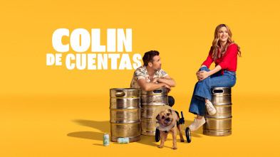 Imagen de (LSE) - Colin de cuentas (T1) - 2