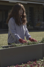 Imagen de (LSE) - Todos mienten (T2): Ep.2  - 11
