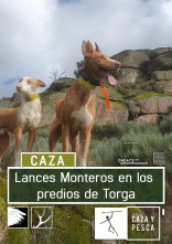 Imagen de Lances monteros en los predios de Torga - 1