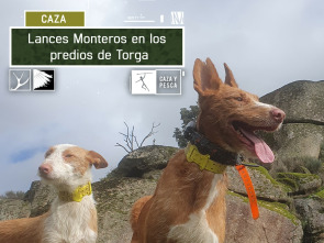 Imagen de Lances monteros en los predios de Torga - 2