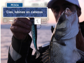 Imagen de Cies, lubinas en cabezos - 2