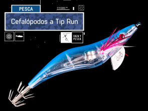 Imagen de Cefalópodos a Tip Run - 2