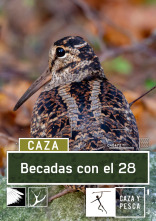 Imagen de Becadas con el 28 - 1