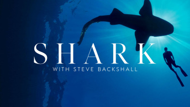 Imagen de Shark with Steve Backshall  - 2