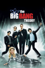 Imagen de The Big Bang Theory (T4) - 1