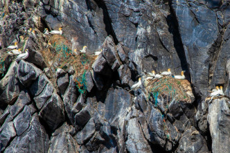 Plásticos en el paraíso