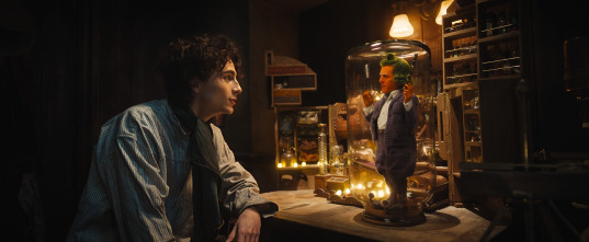 Imagen de Wonka - 10