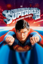 Imagen de Superman II (La aventura continúa) - 3
