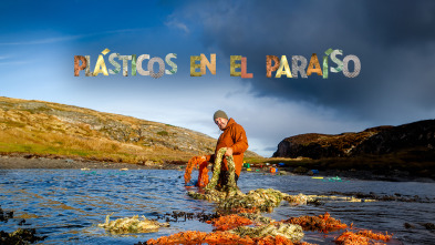 Plásticos en el paraíso