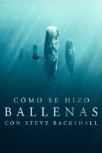 Imagen de Cómo se hizo Ballenas con Steve Backshall  - 1