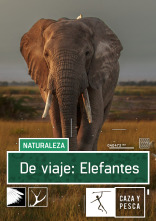 Imagen de De viaje: Elefantes - 1
