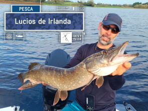 Imagen de Lucios de Irlanda - 2