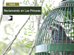 Imagen de Reclamando en Las Pitiusas - 2