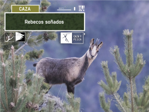 Imagen de Rebecos soñados - 2