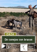 Imagen de De conejos con bracos - 1