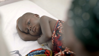 Imagen de La batalla contra la malaria - 12