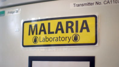 Imagen de La batalla contra la malaria - 15