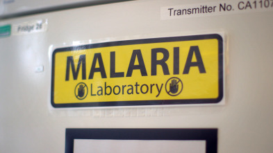 La batalla contra la malaria