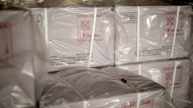 Imagen de La batalla contra la malaria - 16