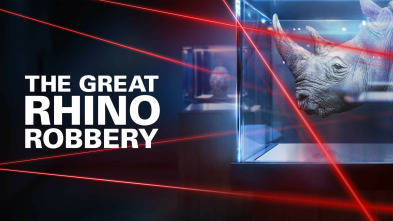 Imagen de El gran robo de rinocerontes  - 2