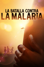 La batalla contra la malaria