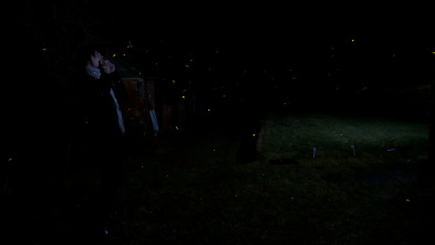 Imagen de Peter Doherty: Stranger In My Own Skin - 11