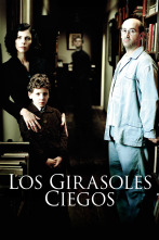 Imagen de Los girasoles ciegos - 1