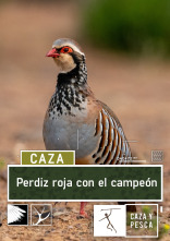 Imagen de Perdiz roja con el campeón - 1