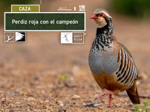 Imagen de Perdiz roja con el campeón - 2
