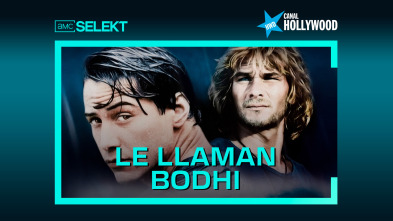 Le llaman Bodhi