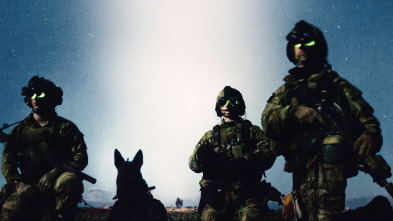 Imagen de Perro de guerra - 2