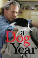 Imagen de A Dog Year - 1