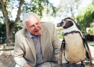 Imagen de Attenborough y el monstruo jurásico - 5