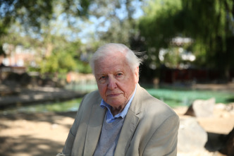 Imagen de Attenborough y el monstruo jurásico - 6