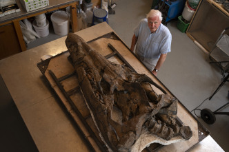 Imagen de Attenborough y el monstruo jurásico - 7