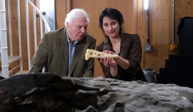 Imagen de Attenborough y el monstruo jurásico - 12