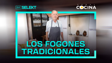 Los fogones tradicionales (T26)