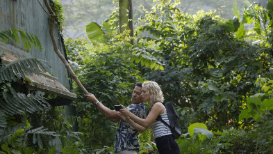 Imagen de Magnum (Temp. 5) (T5): Ep.11 Atropello y fuga - 1