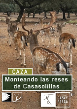 Monteando las reses de Casasolilla