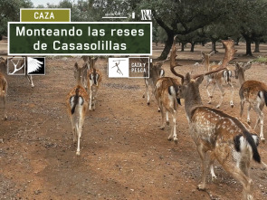 Imagen de Monteando las reses de Casasolilla - 2