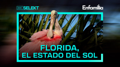 Florida, el estado del sol