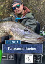 Pateando lucios