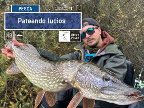 Imagen de Pateando lucios - 2