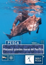 Pescasub, grandes meros del Pacífico